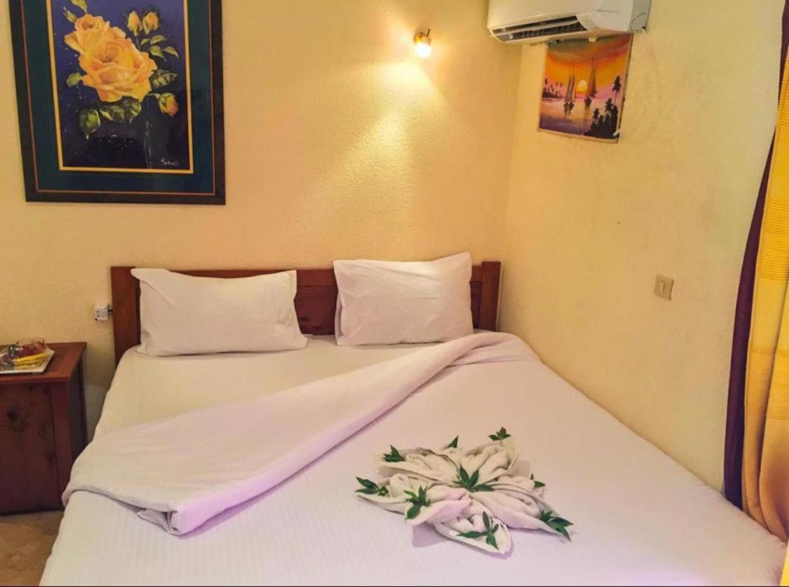 דהב Golden Europe Hotel מראה חיצוני תמונה
